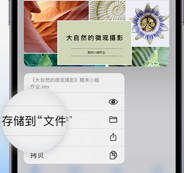 威县apple维修中心分享iPhone文件应用中存储和找到下载文件