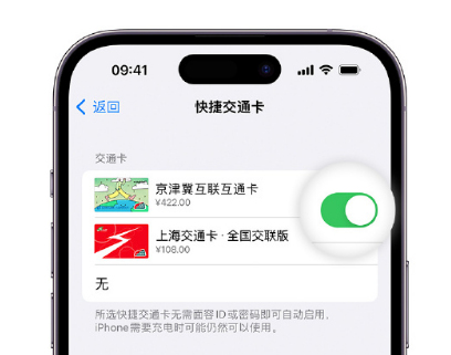 威县apple维修点分享iPhone上更换Apple Pay快捷交通卡手绘卡面 