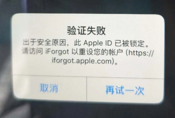 威县iPhone维修分享iPhone上正常登录或使用AppleID怎么办 