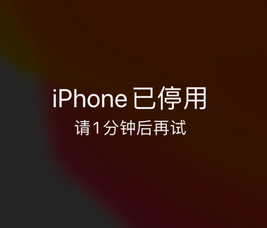 威县苹果手机维修分享:iPhone 显示“不可用”或“已停用”怎么办？还能保留数据吗？ 