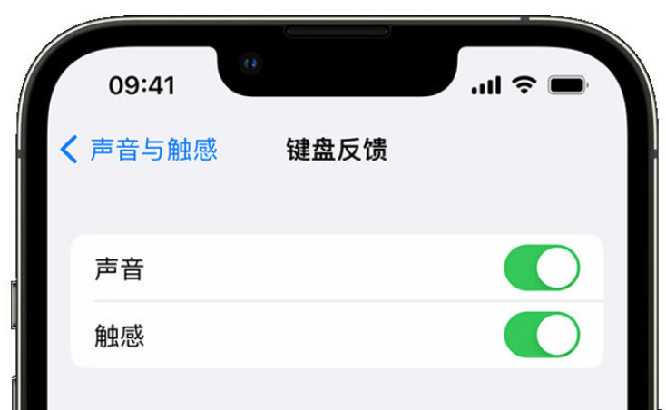 威县苹果手机维修分享iPhone 14触感键盘使用方法 