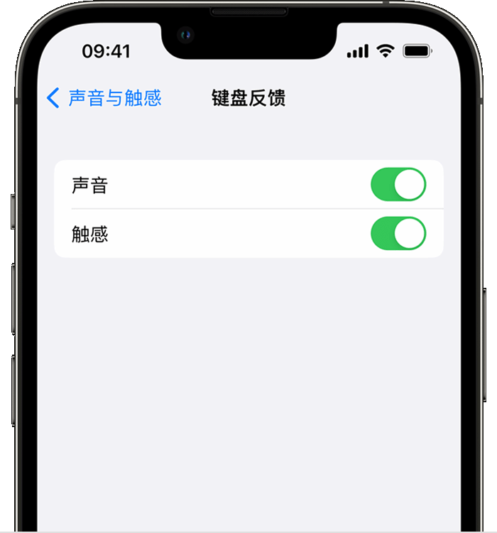 威县苹果14维修店分享如何在 iPhone 14 机型中使用触感键盘 