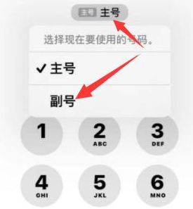 威县苹果14维修店分享iPhone 14 Pro Max使用副卡打电话的方法 