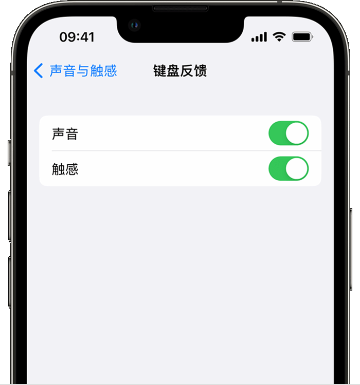 威县苹果14维修分享iPhone 14 系列机型如何开启键盘声音或触感反馈 