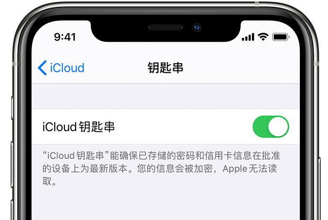 威县苹果手机维修分享在 iPhone 上开启 iCloud 钥匙串之后会储存哪些信息 