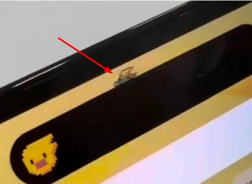 威县苹果14维修分享iPhone 14 Pro Max灵动岛怎么养宠物 