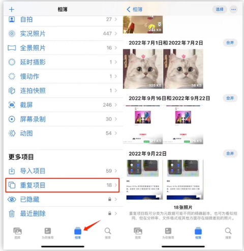 威县苹果手机维修分享iOS 16 中相册重复项目功能使用方法 