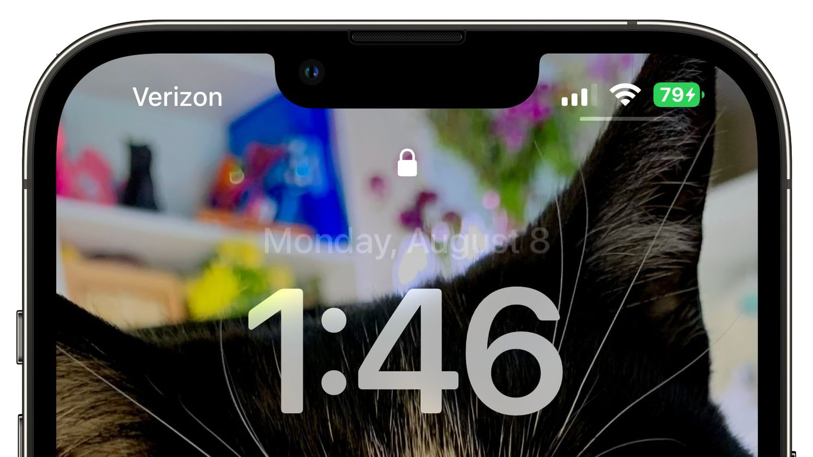 威县苹果手机维修分享iOS 16 beta 5 支持状态栏显示电池百分比，如何开启？支持哪些机型 