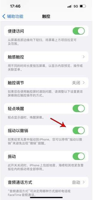 威县苹果手机维修分享iPhone手机如何设置摇一摇删除文字 