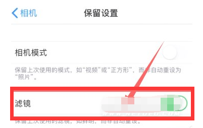 威县苹果13维修分享iPhone13拍照有绿点是怎么回事 