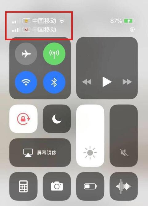 威县苹果手机维修分享为 iPhone 12 双卡设置标签 