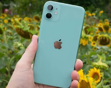 威县苹果维修点分享iPhone 11锁屏密码认知与使用科普 